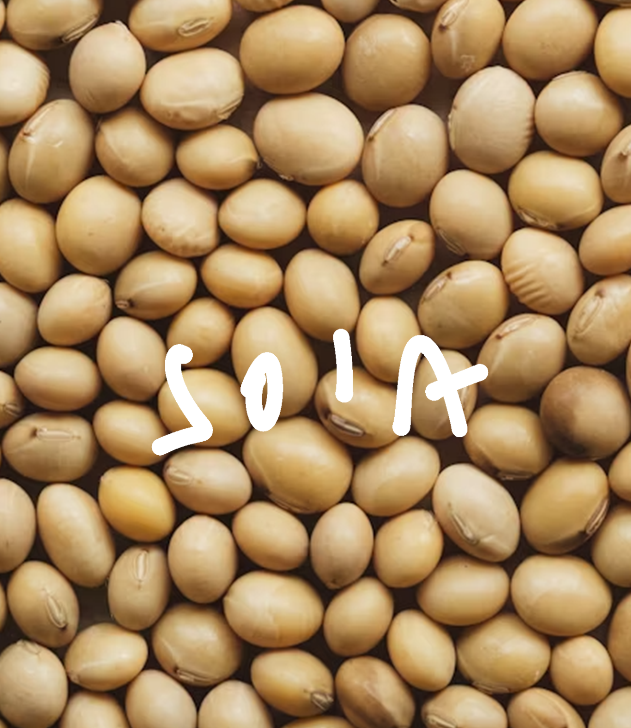 Soia